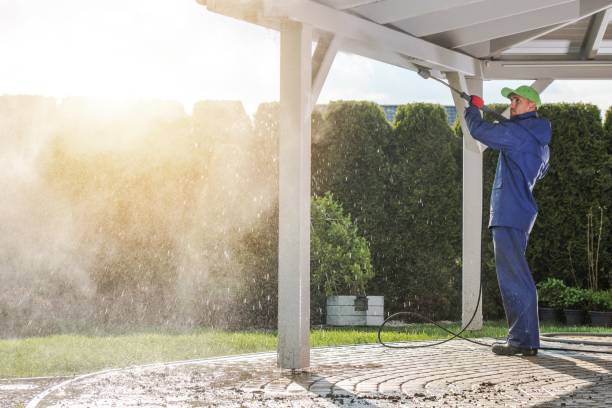 Best Sidewalk and Walkway Cleaning  in Pittsville, MD