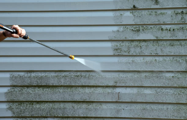 Professional Pressure Washing Services in Pittsville, MD
