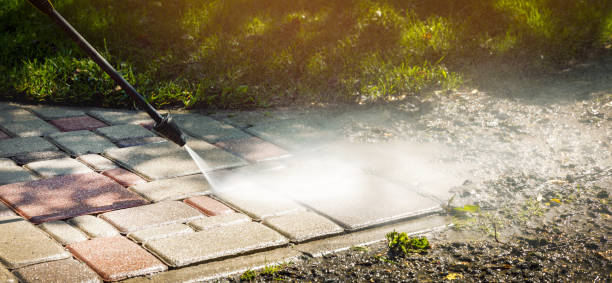 Best Dumpster Area Cleaning  in Pittsville, MD