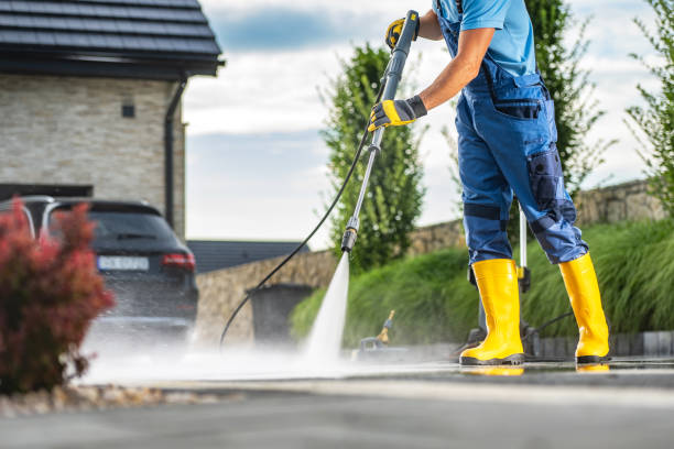 Best Patio and Deck Pressure Washing  in Pittsville, MD